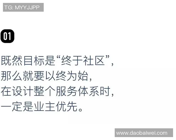 上海网球队的蜕变与崛起：从传统到现代的转型之旅