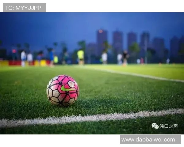 与杨静对话探讨她的足球生涯与未来发展之路