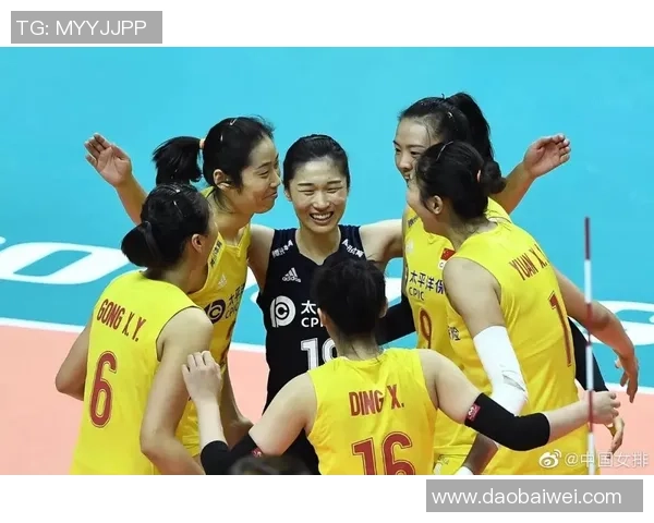 上海排球队防反革新策略解析助力球队再创辉煌