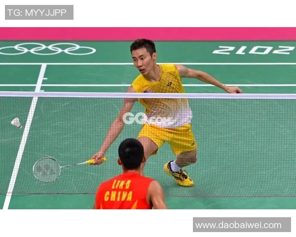 南京羽毛球队与上海羽毛球队赛后复盘分析力量对比与战术探讨