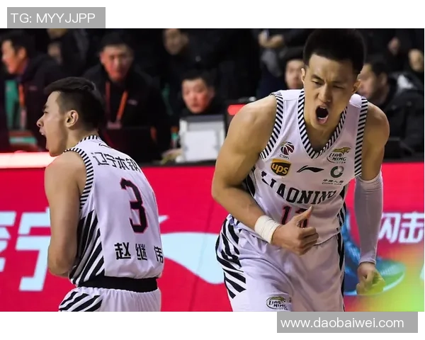 深圳篮球队实力对比深度解析与未来发展趋势探讨