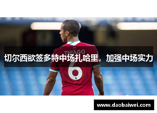 切尔西欲签多特中场扎哈里，加强中场实力