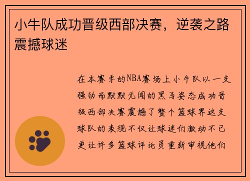 小牛队成功晋级西部决赛，逆袭之路震撼球迷