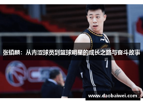 张镇麟：从青涩球员到篮球明星的成长之路与奋斗故事