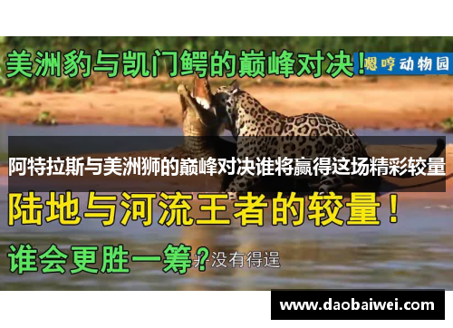 阿特拉斯与美洲狮的巅峰对决谁将赢得这场精彩较量