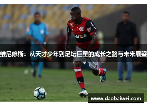 维尼修斯：从天才少年到足坛巨星的成长之路与未来展望